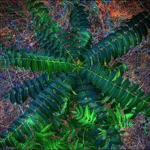 Meet your Posher, Gilbert